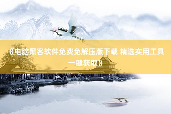 《电脑黑客软件免费免解压版下载 精选实用工具一键获取》