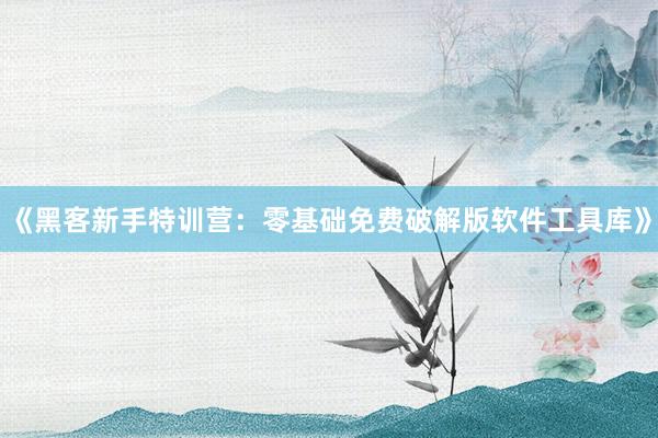 《黑客新手特训营:零基础免费破解版软件工具库》
